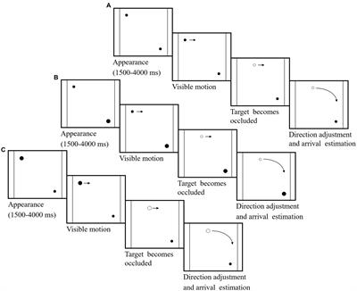 The effects of object size on spatial orientation: an eye movement study